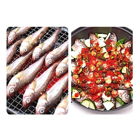 국내산 동해안 도루묵 1kg 급냉 암수랜덤 신선한 해산물 생선 홈파티 낚시터 주말요리