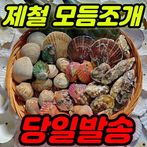 캠핑 모듬조개 2kg 조개구이 세트 해감완료 당일발송(초장+라면 사은품증정)