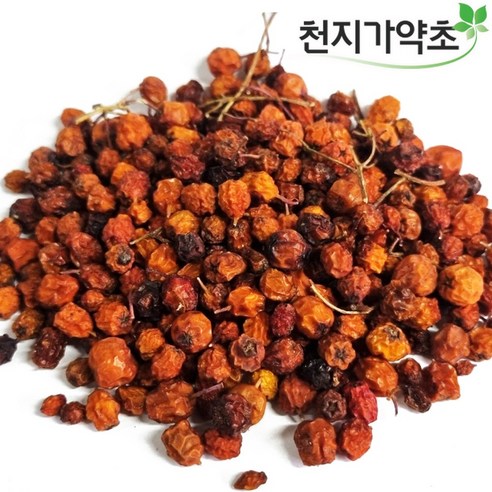 국산 마가목 열매 2025햇 열매 (국산은 크기가 크고 색상이 검붉고 중국산은 작고 색상이 연합니다.)