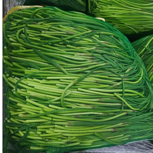 일등농수산 국내산 유명산지 마늘쫑, 1개, 2kg (가정용)