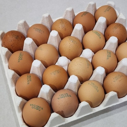 [제니네 제철과일] [SG] 산지발송 동물복지 난각 2번 유정란 신선한 국내산, 1개, 60구
