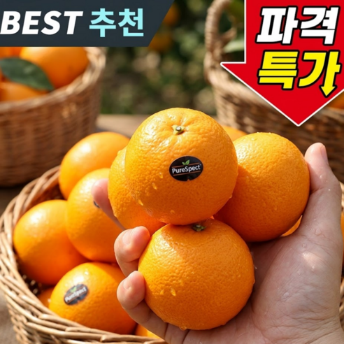 [긴급재입고] 3차완판특가 고당도11brix 중과 블랙라벨오렌지, 1박스, 1kg 내외 (5과)