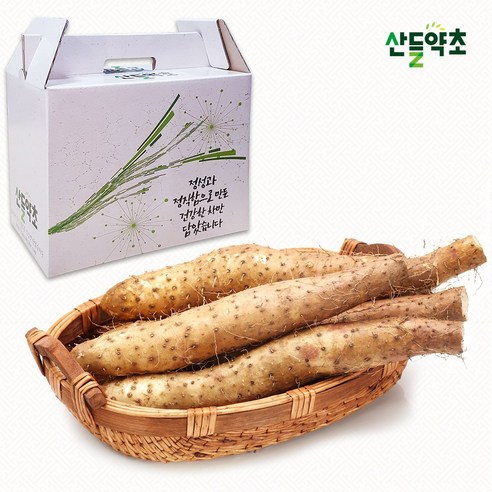 [액상추출] 안동 참마 액상차 110ml 국산 산약즙 참마진액 참마즙