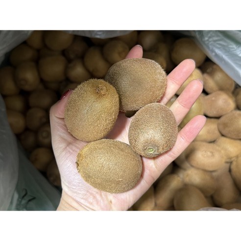 <가람> 제주산 신선한 그린키위/새콤달콤 참다래/프리미엄, 1박스, 2kg 주스용(60g이하)