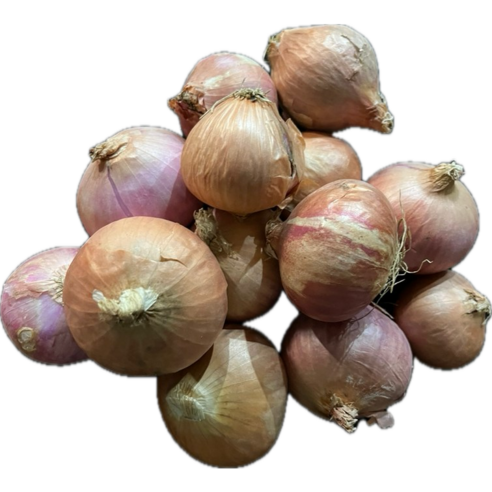 [BEST]중국 샬롯 미니양파 shallot 모충