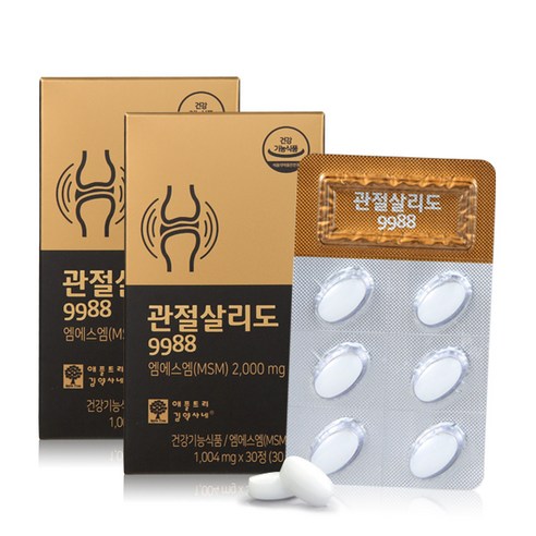 애플트리김약사네 관절살리도 9988 옵티 MSM