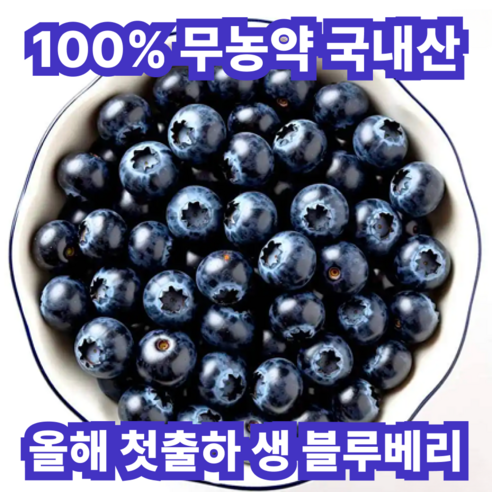 [올해첫출하]한정수량 국내산 무농약 생 블루베리, 2개, 100g