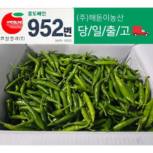 <해돋이농산> 국내산 햇 청양고추 매운고추 못난이 상품