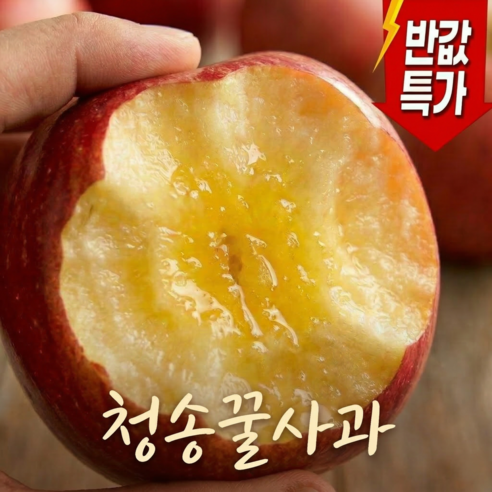 [한정반값특가]딱100박스만 초고당도 못난이가정용 부사사과
