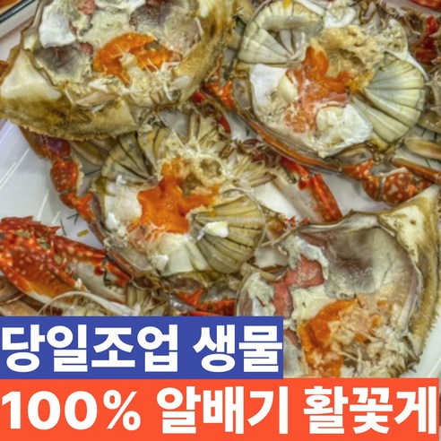 국내산 생물 알배기 활꽃게, 1개, 2kg