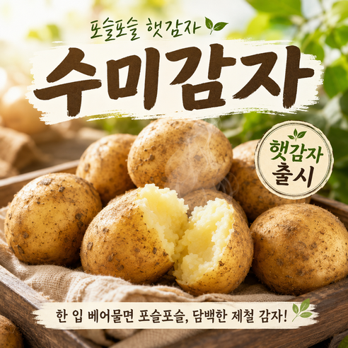 [40박스한정]제철특가 고소함가득 따끈따끈 맛좋은 수미감자, 1박스, 5kg(중)