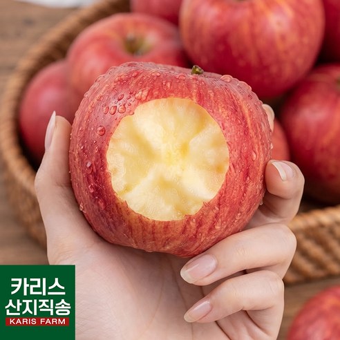 고당도 홍옥사과 농가직송 가정용, 1kg 12,500원 구매 전 비교 기준 1