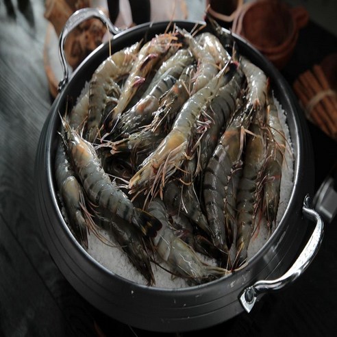 모조나인 캠핑,선물용 킹 블랙타이거 새우, 4박스, 500g(12미)