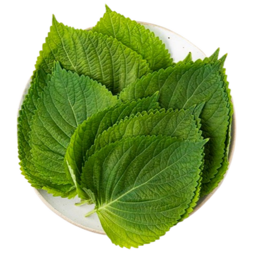 국내산 깻잎 1kg 500g 당일선별 찹찹이깻잎 들깻잎, 1개, 200g