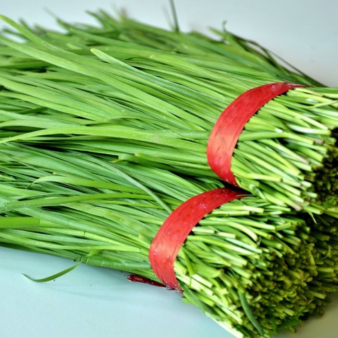 < 바른농산 > 당일수확 국내산 부추 묶음 (1단 700g), 3개, 700g