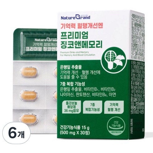 네이처그랜드 프리미엄 징코 메모리 1개월분 기억력개선 은행잎추출물, 6개, 30정