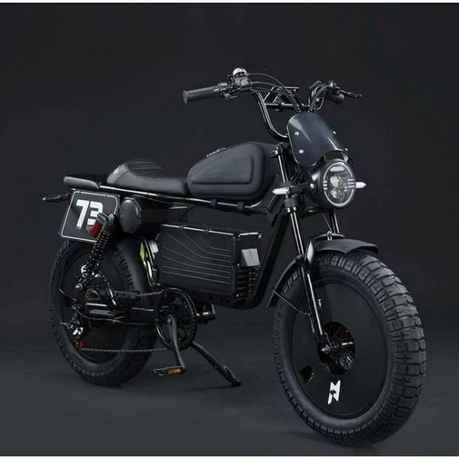 고출력 전기자전거 60V 신형 자토바이 페이스오프 N1 3000W 배달용