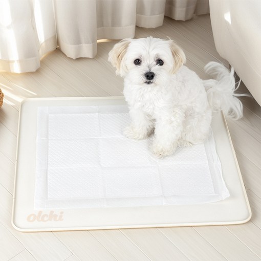 올치 반려동물 실리콘 논슬립 배변매트 MT6846, 베이지, 1개