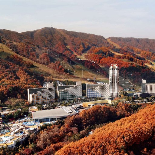 ★스탠다드