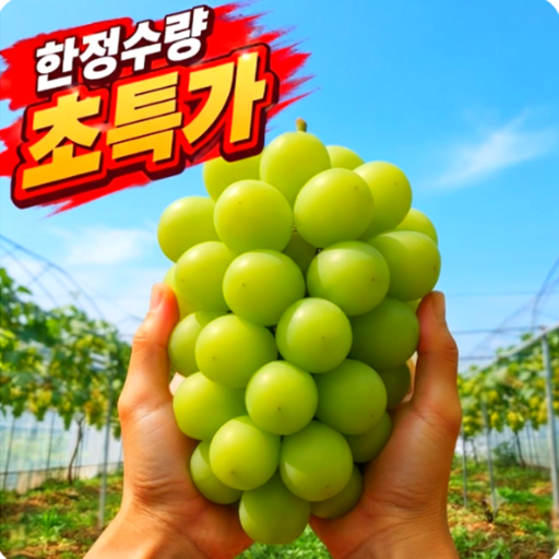 [3차완판]초특가 당도선별 초고당도 샤인머스켓