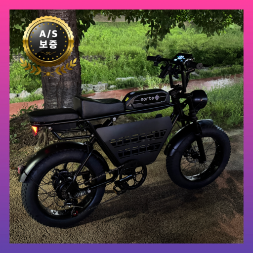 노르테 전기자전거 전동자전거 고출력 48V 모터 배달 출퇴근, S1 럭셔리, 스틸