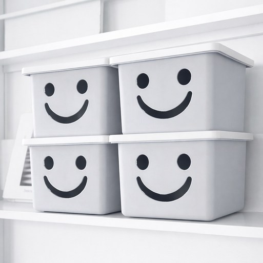 보노하우스 모던 미니 해피박스 정리함