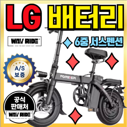 웨이라이드 한국산 프리미엄 LG배터리 접이식 전기 자전거 초경량 전동 고출력 48V 400W, LG 20A 80KM, 알루미늄 합금