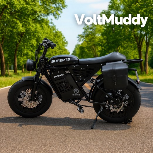 VoltMuddy 20인치 전기 펫 바이크 전동 자전거 오프로드 출퇴근 배달 산악 mtb