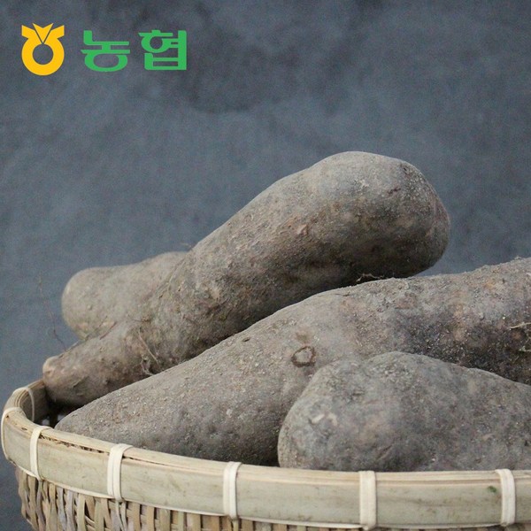 흙내음 가득한 건강함, 농협 국산 우엉으로 건강 채우기: 맛과 영양의 완벽 조화
