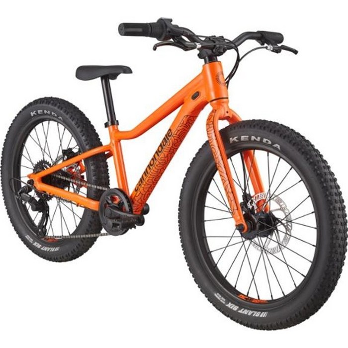 캐논데일 Trail Plus 20inch 키즈 바이크 캐논데일 Trail Plus 20inch 키즈 바이크