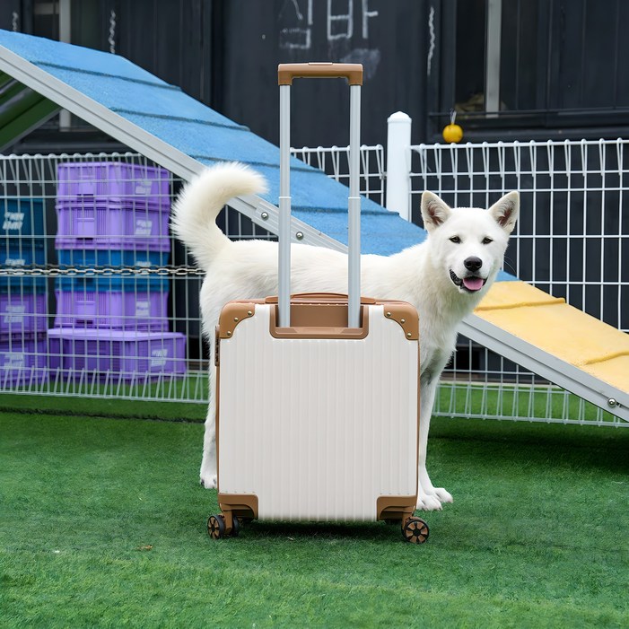 다퍼남 18인치 여행용 캐리어