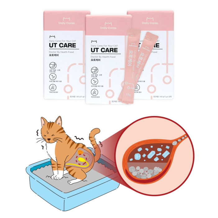 닥터바이 요로케어 고양이 신장 영양제 방광 요로 건강 배뇨 도움, 1개, 유리너리 비뇨계, 요로케어
