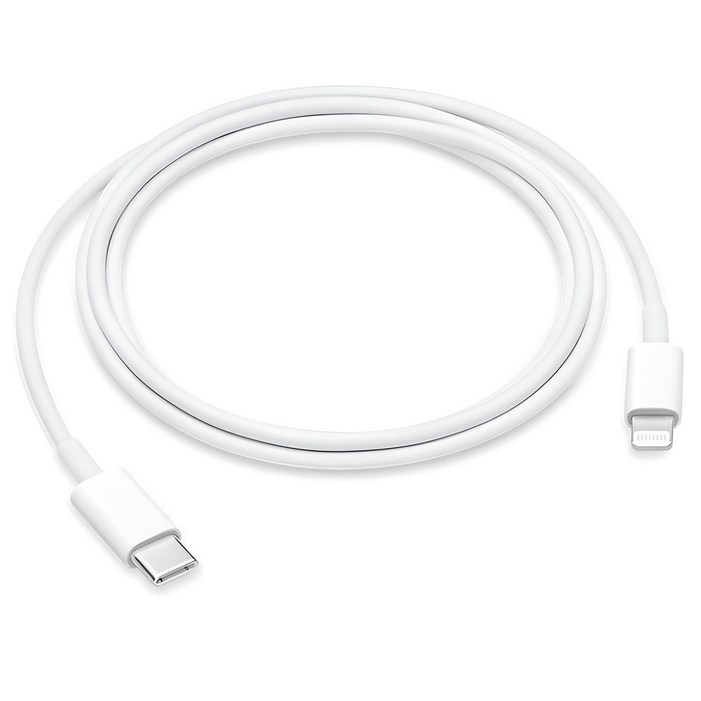 Apple 정품 LightningC타입 충전 케이블, 1m, 1개