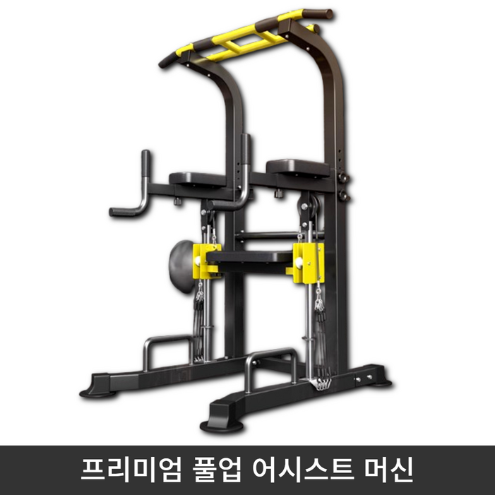 PAKAL 가정용 턱걸이 운동기구 치닝디핑 어시스트 풀업 머신 기구 실내 철봉 딥스 바