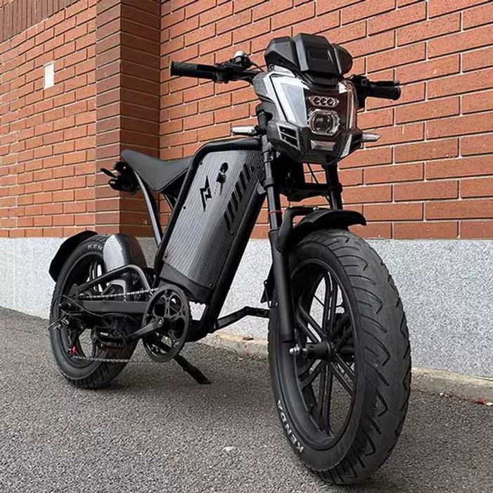 엑스라이더 48V  복고풍 전기 자전거 미니 배터리