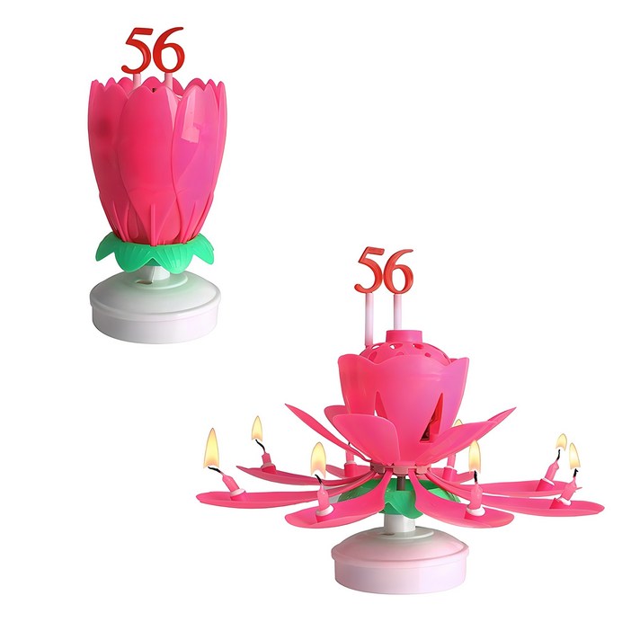 파티라이프 회전 멜로디 생일축하 숫자 연꽃초  숫자세트 2p