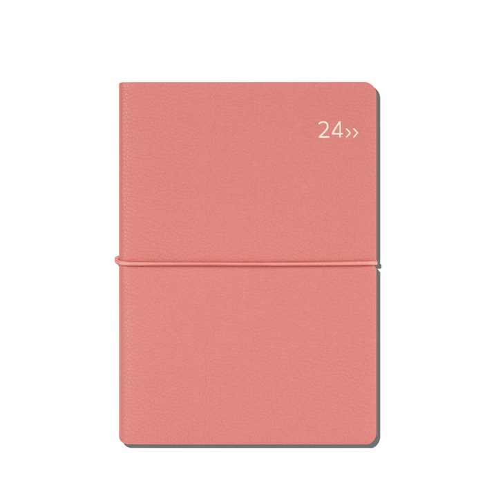 2024다이어리 날짜형 위클리 주간식 다이어리 B6 디커버다이어리 DV PRO1
