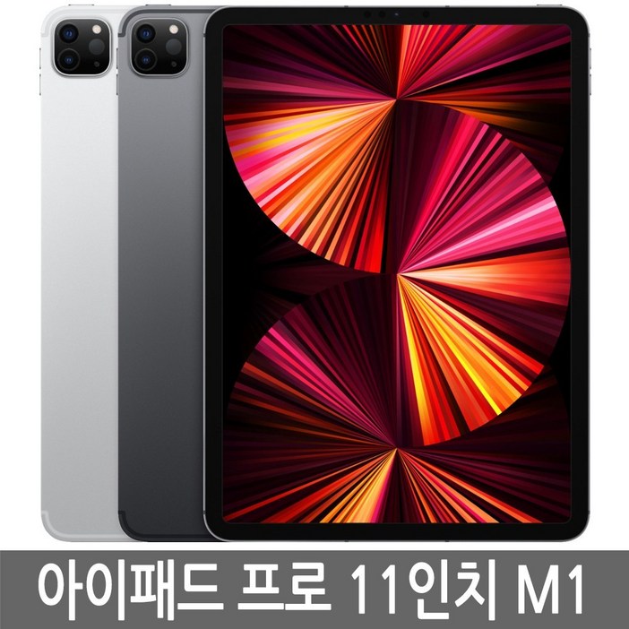 아이패드 프로 3세대(5세대) 11인치 M1 128GB 256GB 기가 정품