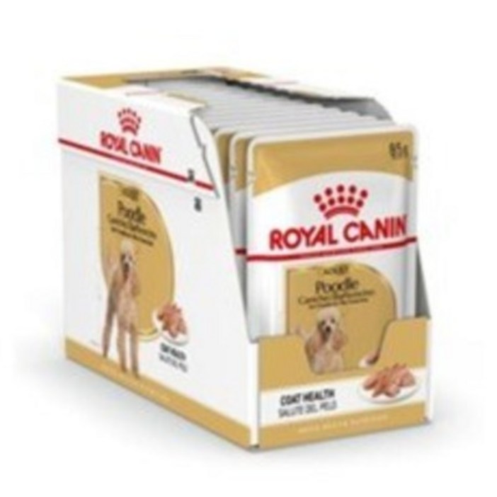 로얄캐닌 푸들 어덜트 습식사료, 닭, 85g, 24개