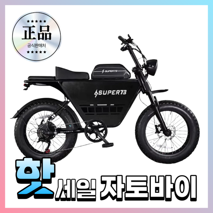 트렉포스 자토바이 전기 전동자전거 스쿠터 전기자전거 MTB 출퇴근용 배달용, S2 표준48V, 스틸