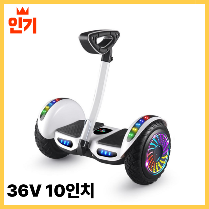 아키다 54V 전동휠 나인봇 10인치 카트 보드 전기 배터리 투휠 호버보드 무릎 헨드 제어 아키다 54V 전동휠 나인봇 10인치 카트 보드 전기 배터리 투휠 호버보드 무릎 헨드 제어