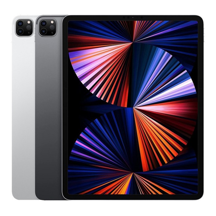 Apple 아이패드 프로 12.9 5세대 M1칩