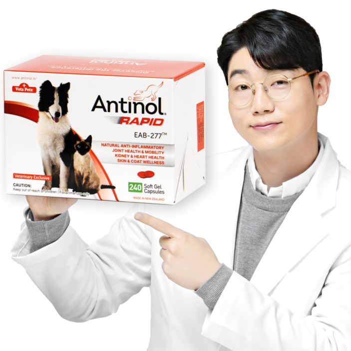 안티놀 래피드 240정, 240정, 뼈관절강화, 1개 안티놀 래피드 240정, 240정, 뼈관절강화, 1개