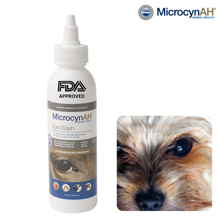 마이크로신 미국 FDA 인증 강아지 고양이 겸용 전문 눈 세정제, 1개, 120ml