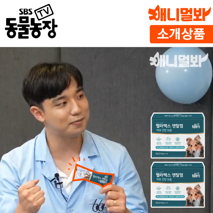 SBS TV 동물농장 덴탈껌 강아지 치석 양치 입냄새 제거, 구강치석관리, 단품, 2개, 160g