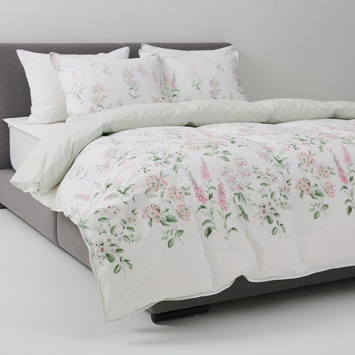 레노마홈 라비아구스 사계 차렵이불 SS 폴란드구스