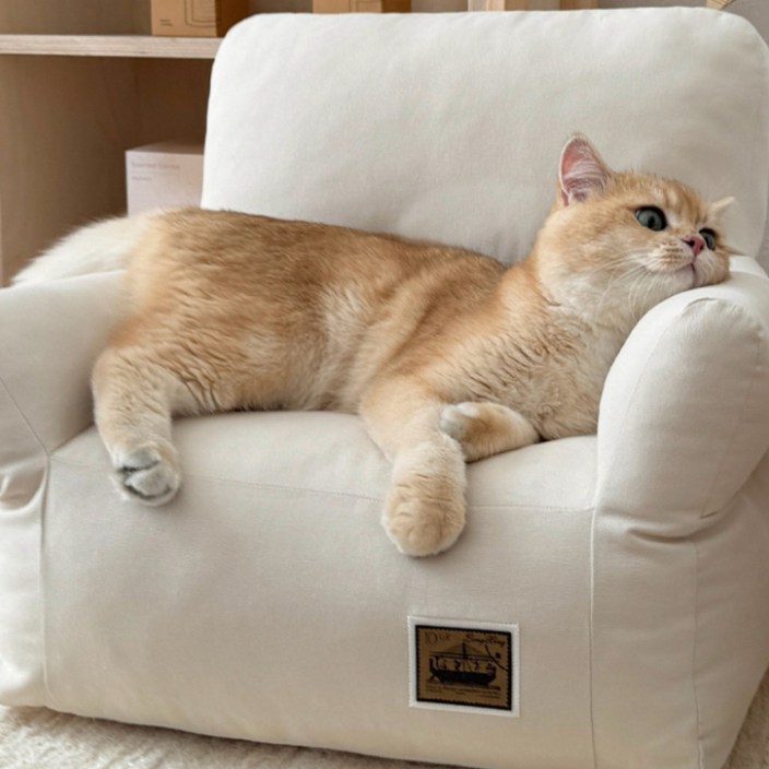 데일리테일 펫소파 강아지방석 고양이 쿠션, 1개, 아몬드크림