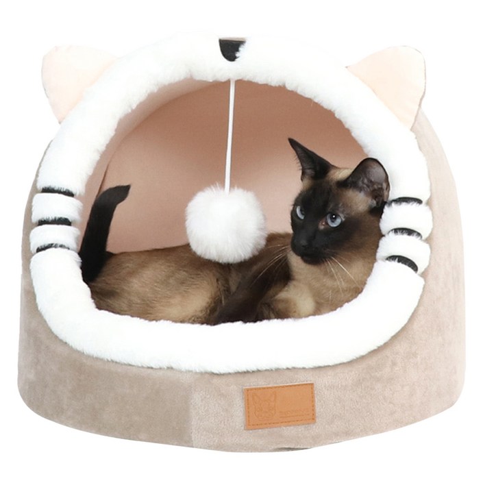 레드퍼피 개과천선 고양이 레오펀 하우스