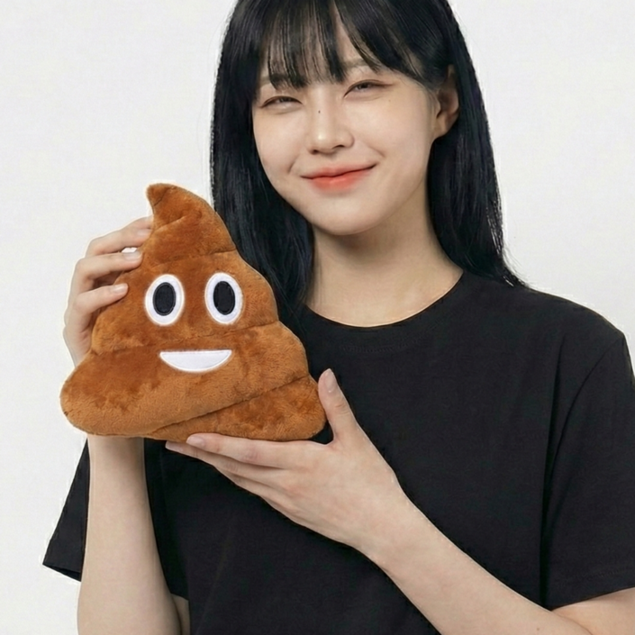 조이데이 똥 모양 인형 쿠션