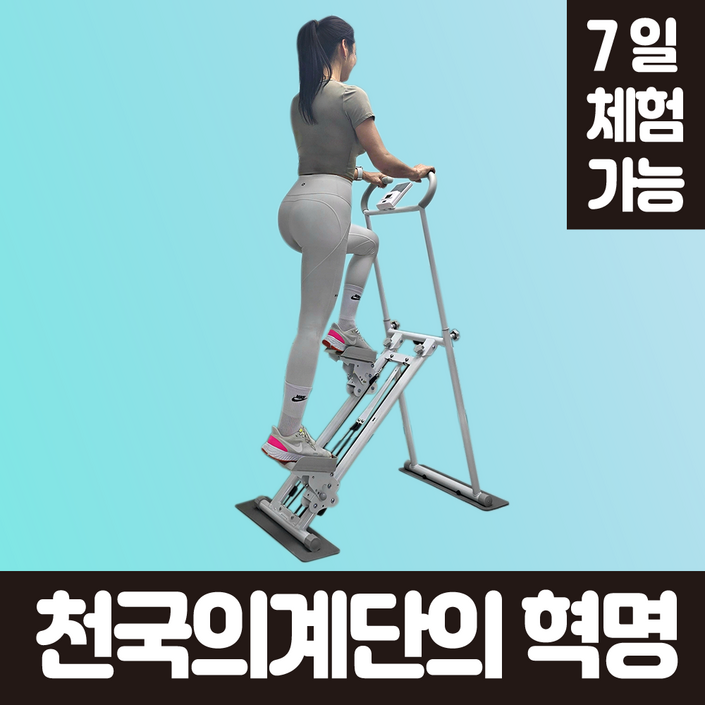정직한형제들 가정용 천국의계단 운동기구 계단오르기 스텝퍼 스텝밀